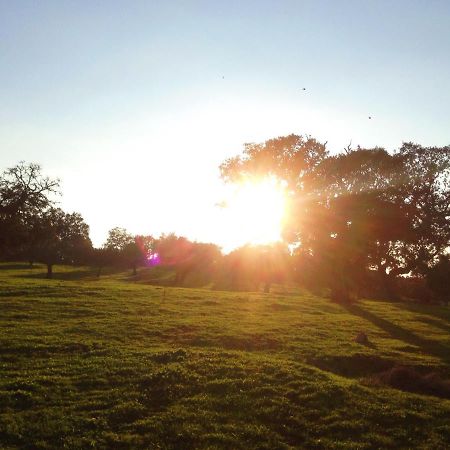 Casa De Campo Alter Pedroso Alter do Chão 外观 照片
