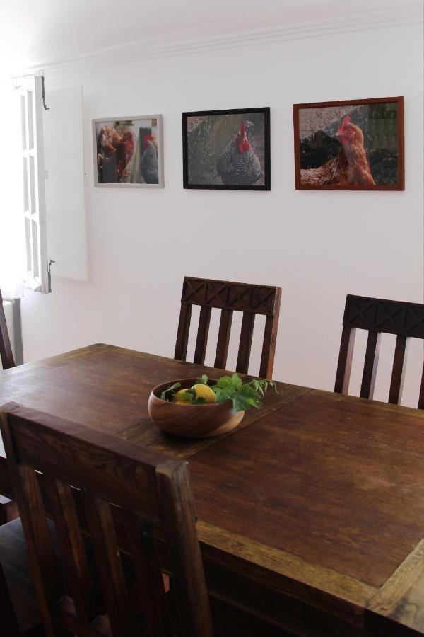 Casa De Campo Alter Pedroso Alter do Chão 外观 照片