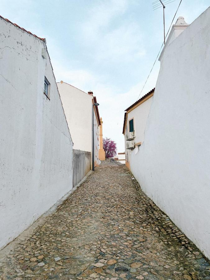 Casa De Campo Alter Pedroso Alter do Chão 外观 照片