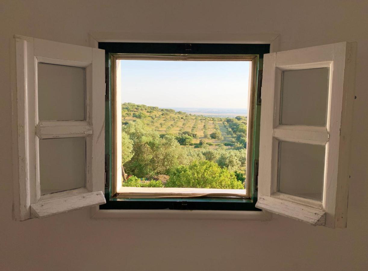 Casa De Campo Alter Pedroso Alter do Chão 外观 照片